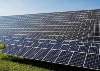 New income opportunity for farmers