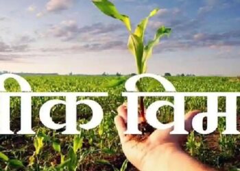 प्रधानमंत्री पीक विमा