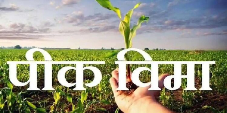 प्रधानमंत्री पीक विमा