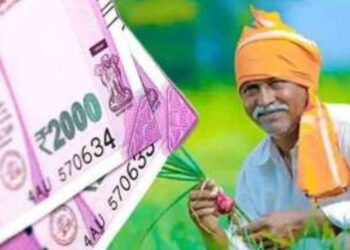 पीएम किसान