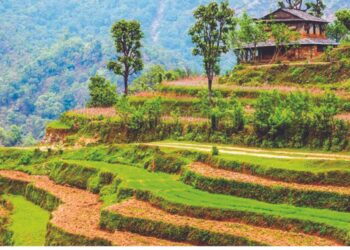 नेपाळमधील पहाडी शेती