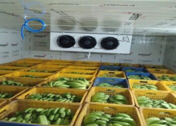 Fal Pikavnyasathi Tantradnyan