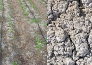 Chunkhadiyukt Jamin Upay