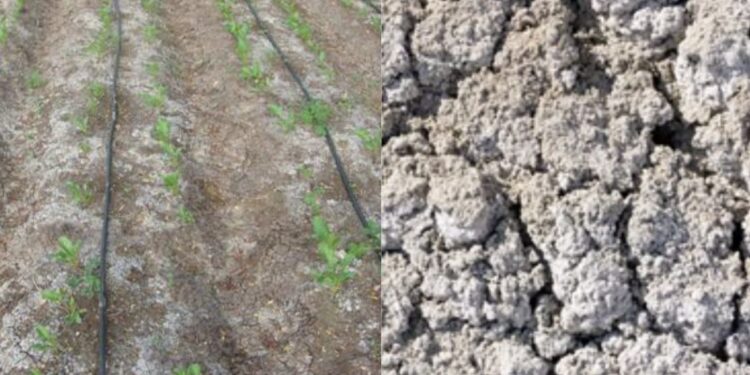 Chunkhadiyukt Jamin Upay