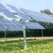 solar farming
