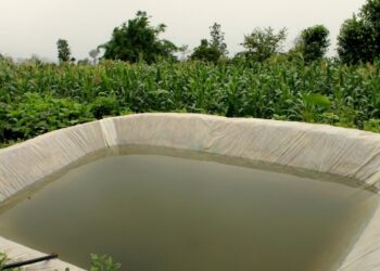 Shettale Plastic Film