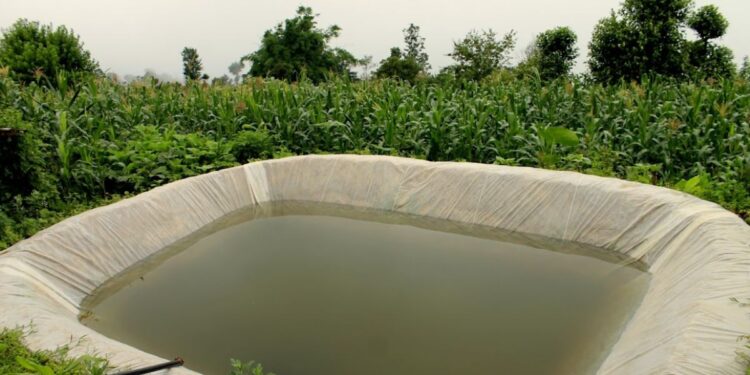 Shettale Plastic Film