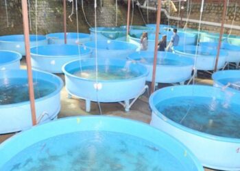 Matsya Palan Vyavsay