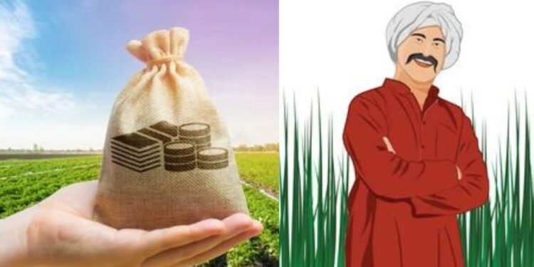 शेतकऱ्या