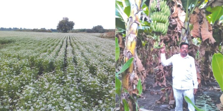 अल्पशिक्षित शेतकर्यांची कमाल