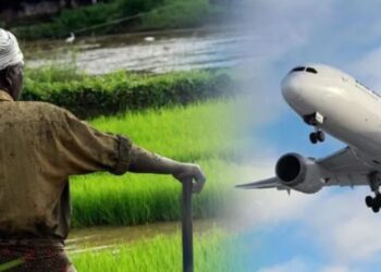 थेट विमानाद्वारे होणार शेतमालाची निर्यात?