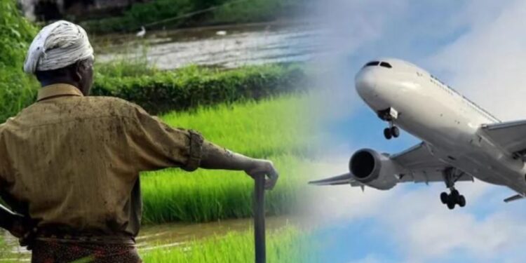 थेट विमानाद्वारे होणार शेतमालाची निर्यात?