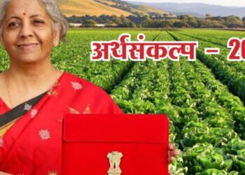 अर्थसंकल्पा