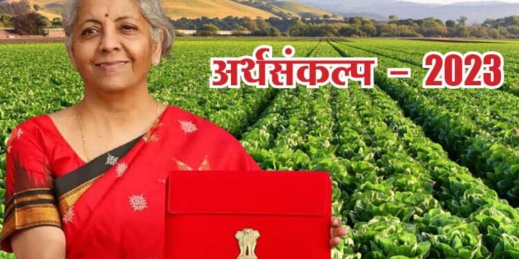 अर्थसंकल्पा