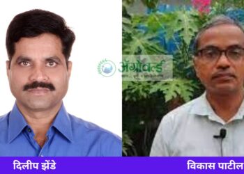 कृषी विभागा