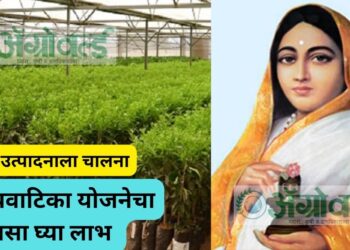 विषमुक्त उत्पादनाला चालना ; या रोपवाटिका योजनेचा असा घ्या लाभ