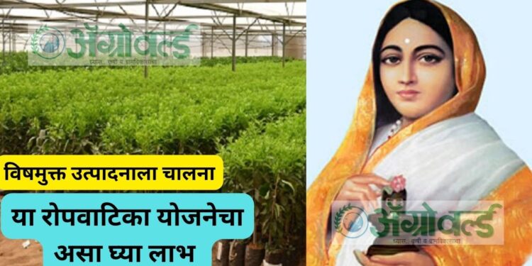 विषमुक्त उत्पादनाला चालना ; या रोपवाटिका योजनेचा असा घ्या लाभ
