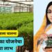 विषमुक्त उत्पादनाला चालना ; या रोपवाटिका योजनेचा असा घ्या लाभ