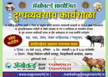 दुग्धव्यवसाय