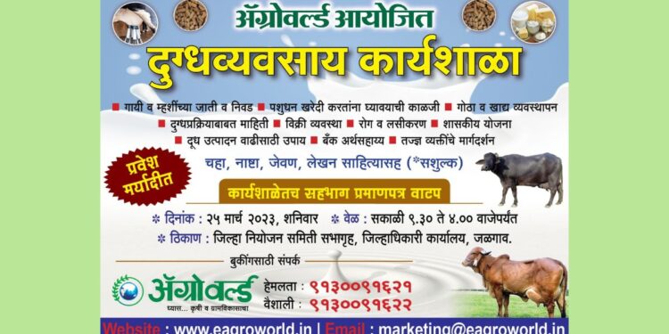 दुग्धव्यवसाय