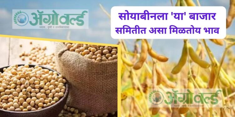 Soyabean Rate