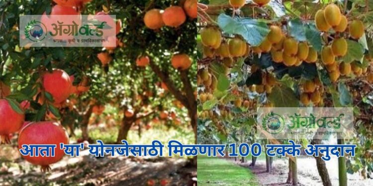 योनजे