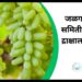 बाजार समिती