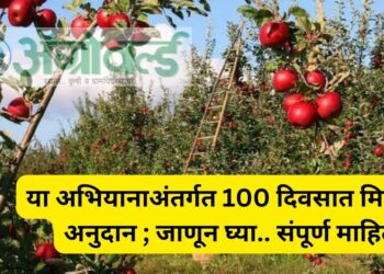 या अभियानाअंतर्गत 100 दिवसात मिळणार अनुदान ; जाणून घ्या.. संपूर्ण माहिती