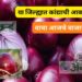 Onion Rate : या जिल्ह्यात कांद्याची आवक सर्वाधिक ; वाचा आजचे बाजारभाव
