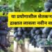 या प्रयोगाशील शेतकऱ्याने काळ्या द्राक्षात लावला नवीन वाणाचा शोध