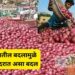 कांद्याच्या दरात