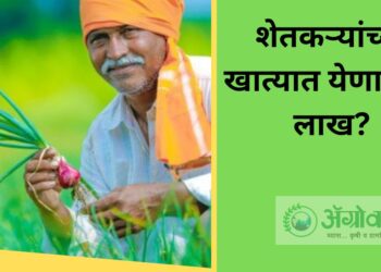 शेतकर्‍यांच्या