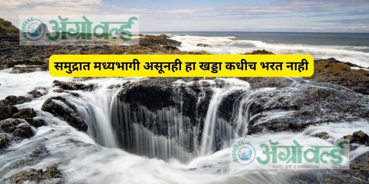 समुद्रा