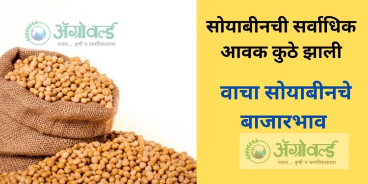 सोयाबीन