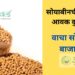 सोयाबीन