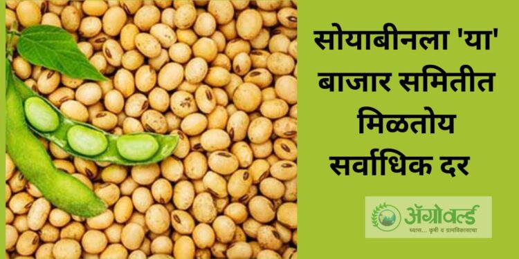 Soyabean Rate