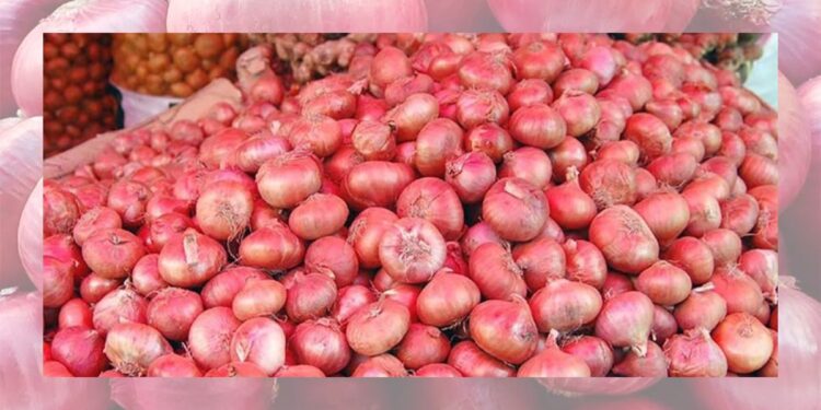 कांद्याला