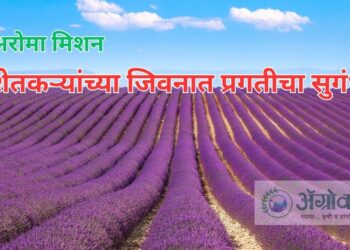 अरोमा मिशन