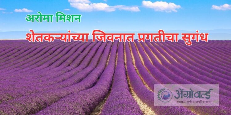 अरोमा मिशन