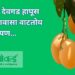 अस्सल देवगड हापूस