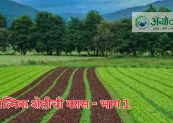 एकात्मिक शेती