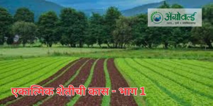 एकात्मिक शेती