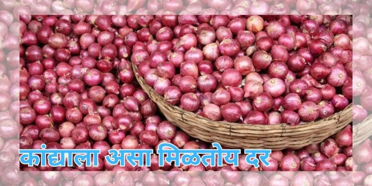 कांद्याला