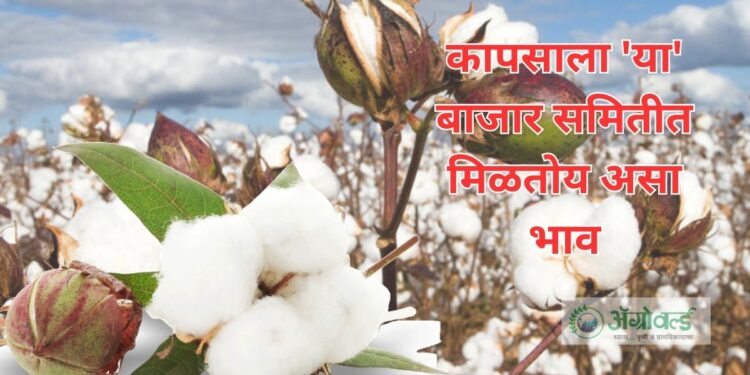 बाजार समिती