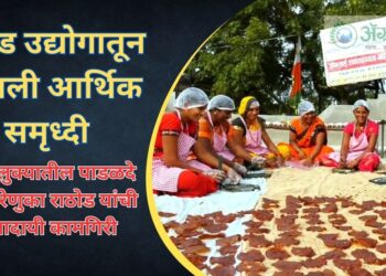 पापड उद्योगा