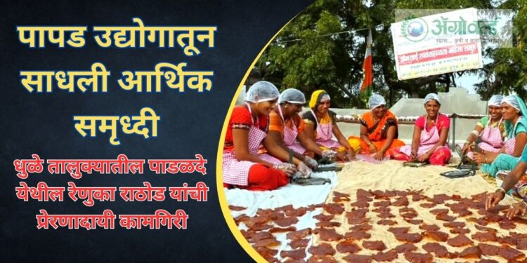 पापड उद्योगा