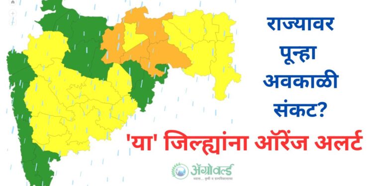 अवकाळी संकट