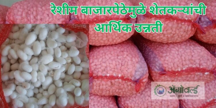 रेशीम बाजार