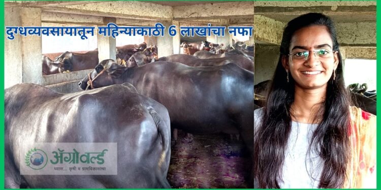दुग्धव्यवसाया