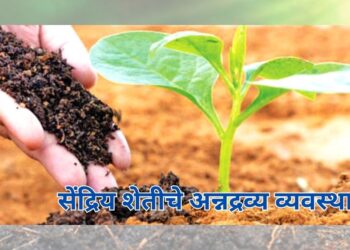 सेंद्रिय शेती